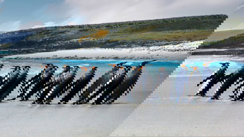 Highlights of South America and Chilean Fjords Cruise