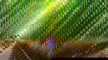 14 Day Essence of Japan and Coastal Discovery (Travelmarvel)