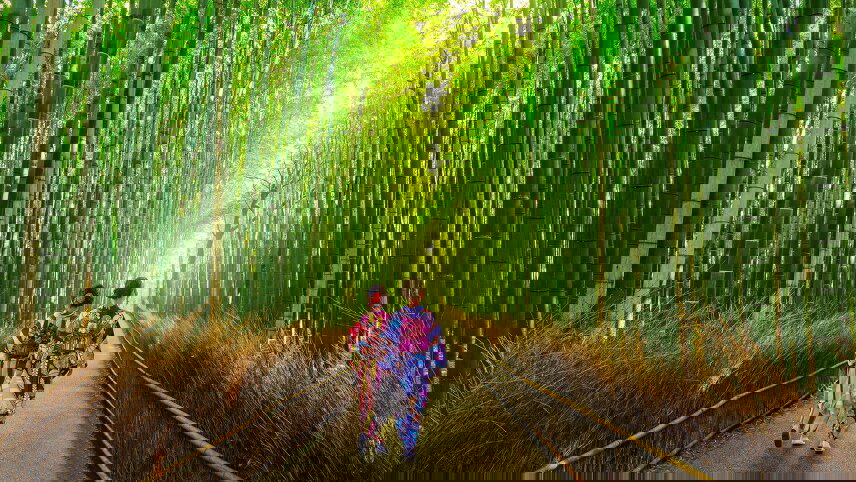 Essence of Japan and Coastal Discovery