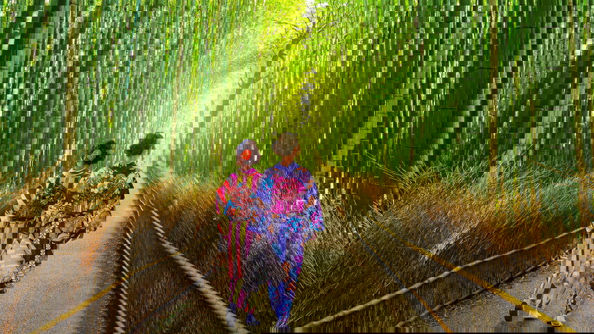 Japan's Golden Route and Coastal Discovery