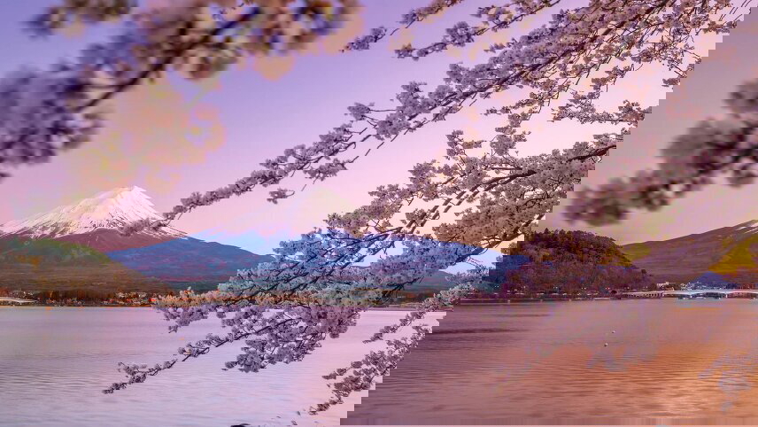 Japan's Golden Route and Coastal Discovery