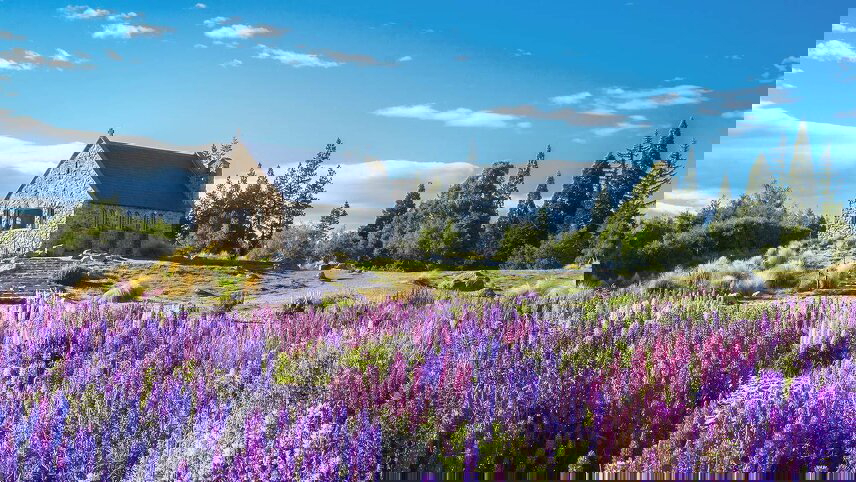 Incredible New Zealand