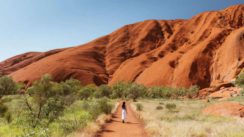 Australian Icons: Rock, Reef, Harbour & Wildlife