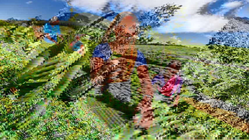 Splendours of Sri Lanka