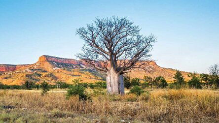 10 Day Kimberley and Northern Territory Highlights (Travelmarvel)