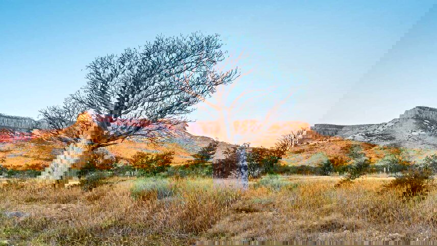 Kimberley and Northern Territory Highlights