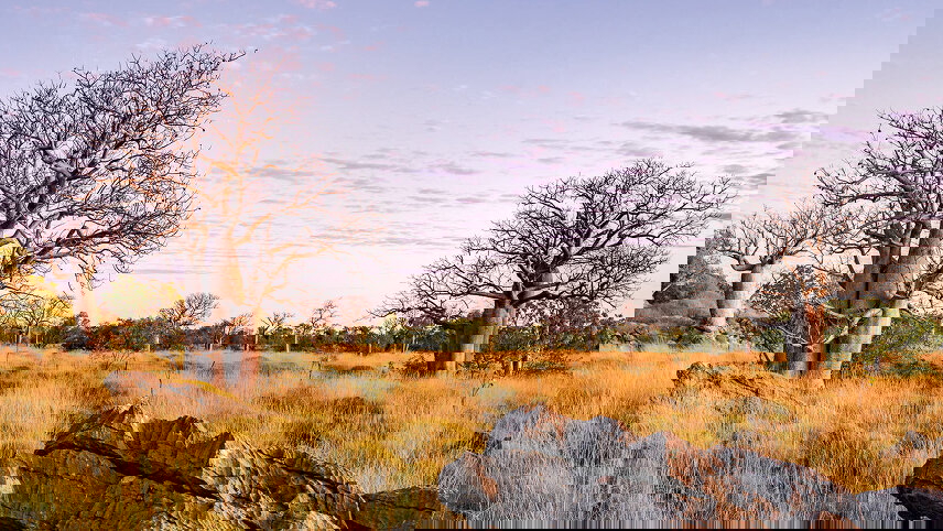 Kimberley and Northern Territory Highlights