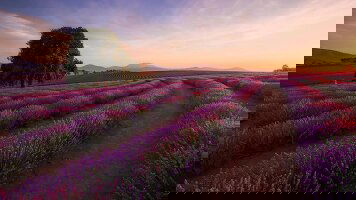 10 Day Grand Tasman (Travelmarvel)