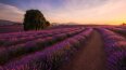 10 Day Grand Tasman (Travelmarvel)