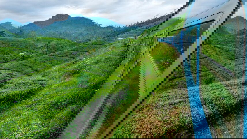 Discover the Beauty of Sri Lanka