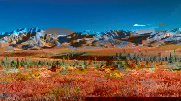 13 Day Alaskan Adventure (Travelmarvel)