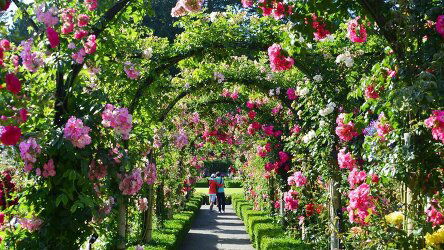 12 Day Enchanting Rockies (Travelmarvel)