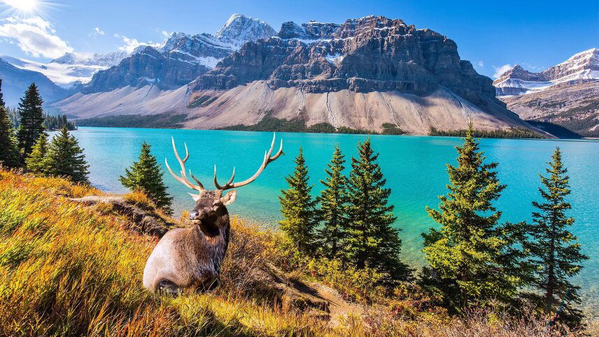 The Best of Canada