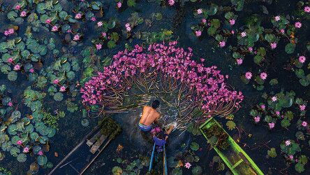 8 Day Majestic Mekong Cruising (Travelmarvel)