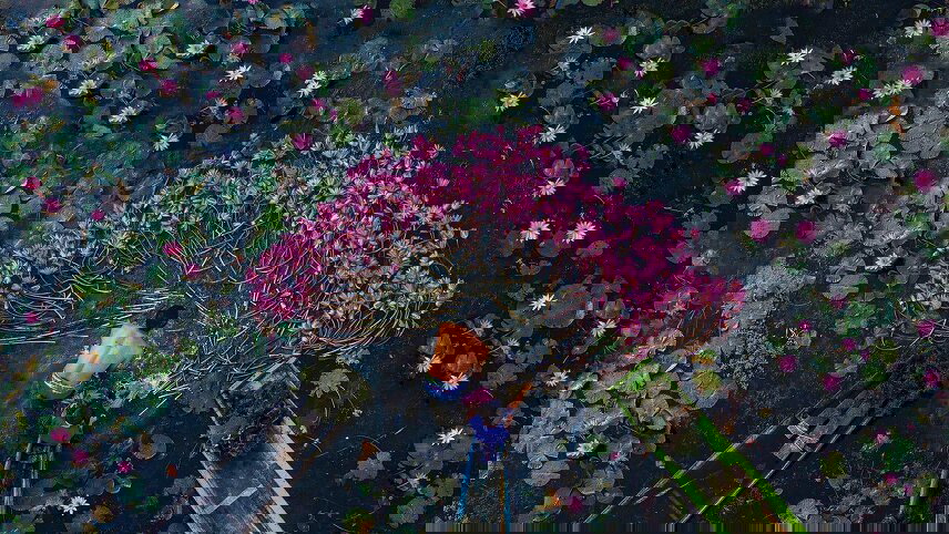 Majestic Mekong Cruising