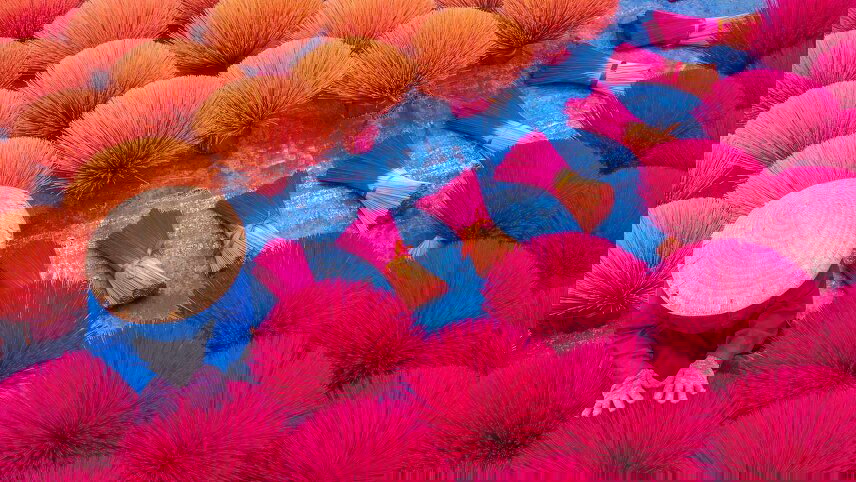 Essential Vietnam and Cambodia