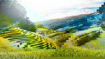 23 Day Natural Wonders of Vietnam and Cambodia (Travelmarvel)