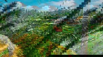 18 Day Bali & Beyond (TruTravels)