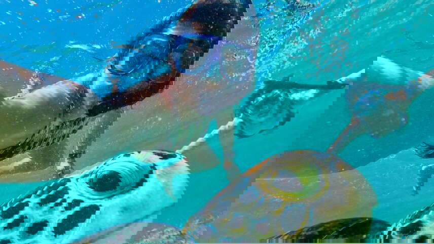 Komodo Island Hopper