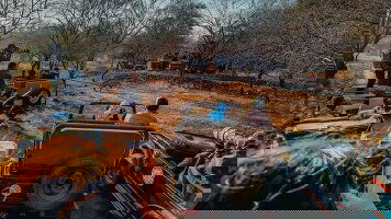 13 Day India Uncovered (TruTravels)