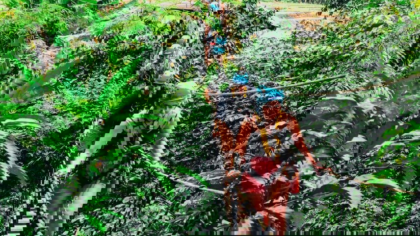 Northern Thailand Adventure