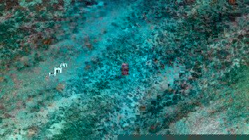 12 Day Central America Adventure (TruTravels)