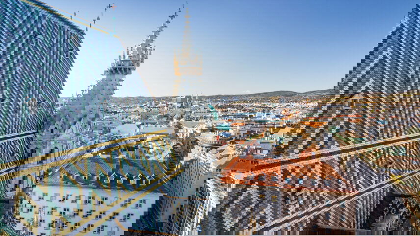 Vineyards & Palaces along the Danube