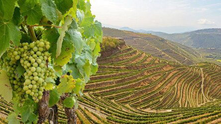 18 Day Wine Roads of France & Portugal (Uniworld)