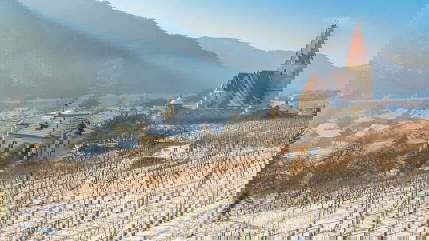 Danube Christmas Delights