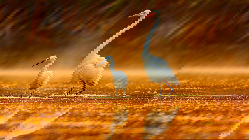 America's Great River