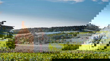 15 Day Lyon, Provence & the Rhineland (Viking)