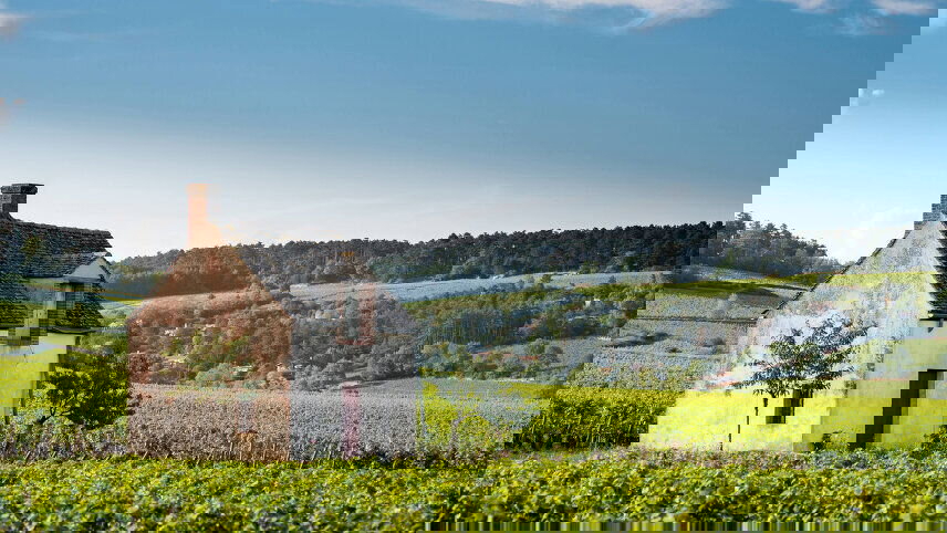 Lyon, Provence & the Rhineland