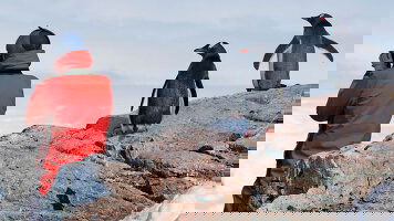 Expedition Experiences