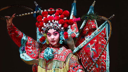 The Thinking Person's Cruise