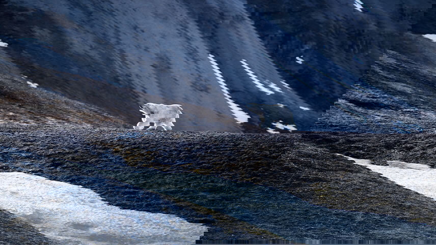 Iceland & Norway's Arctic Explorer