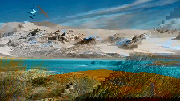 19 Day Antarctica & South Georgia Island (Viking)