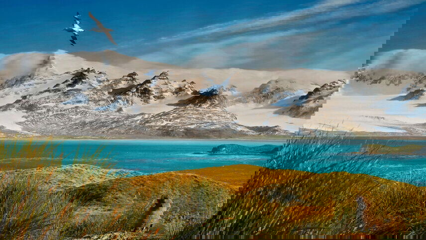 Antarctica & South Georgia Island