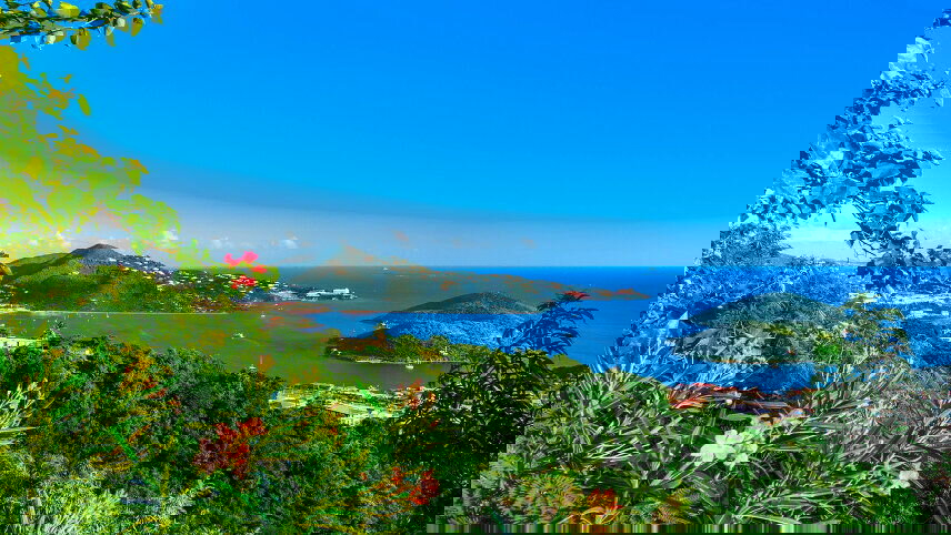 From the Caribbean to the Amazon