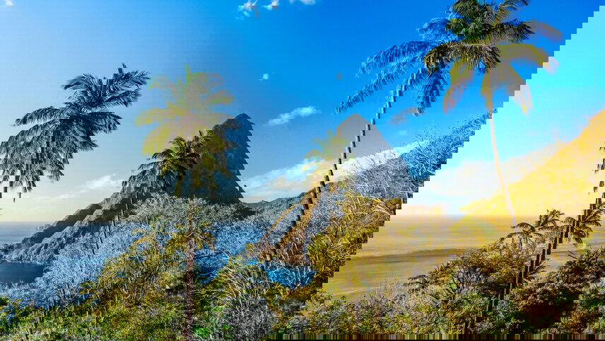 From the Caribbean to the Amazon