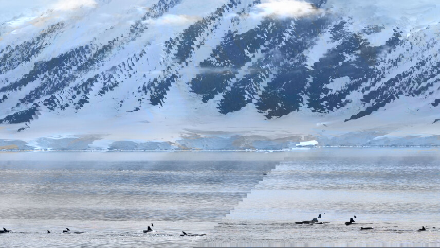 Into the Antarctic Circle