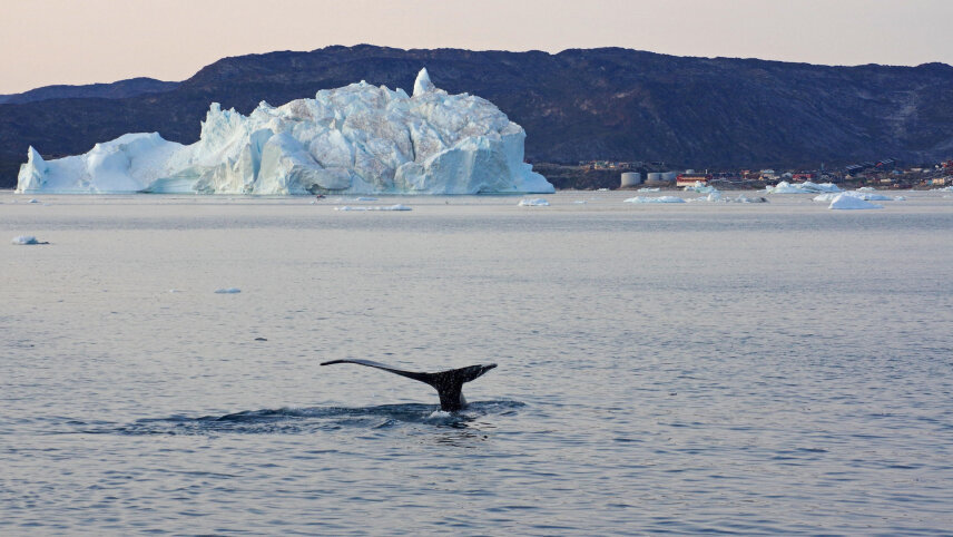 Into the Northwest Passage