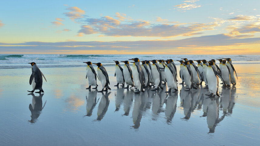 South America & the Chilean Fjords