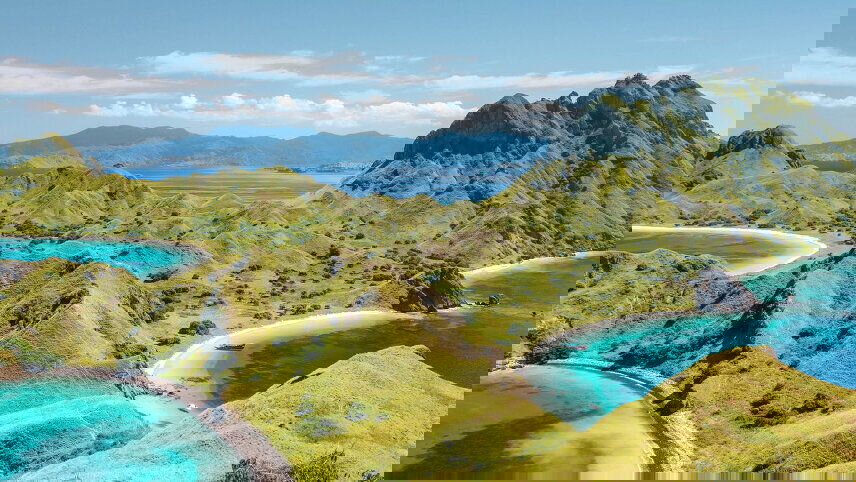 Viking World Discoveries