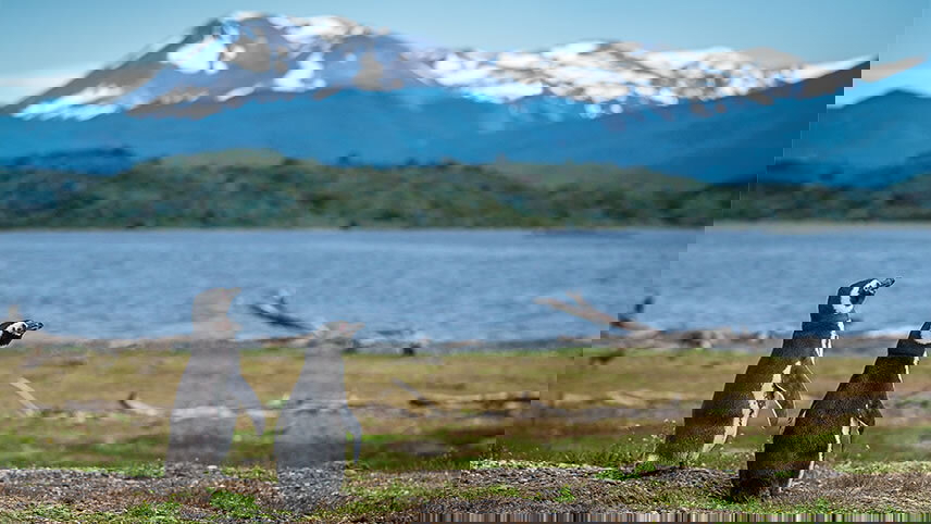 Patagonian Shores & Chilean Fjords