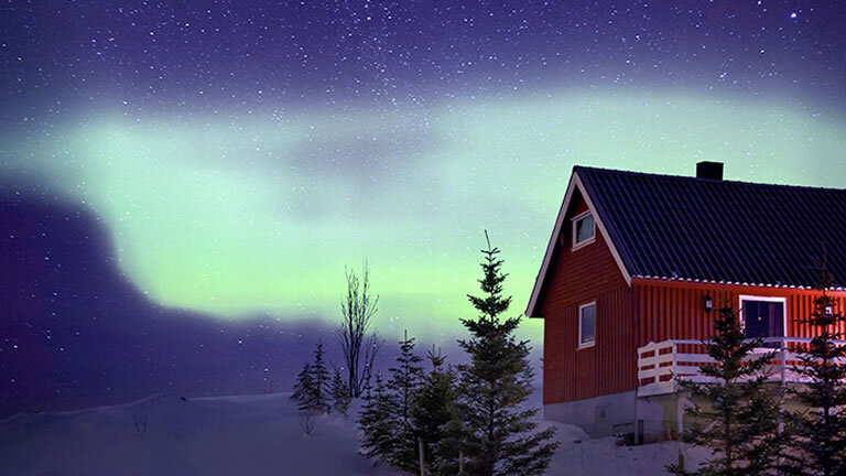 Into the Midnight Sun