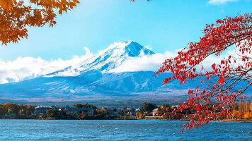 9 Day A Week In Japan (Wendy Wu)