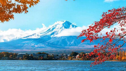 9 Day A Week In Japan (Wendy Wu)