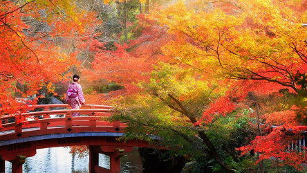 18 Day Best of Japan (Wendy Wu)