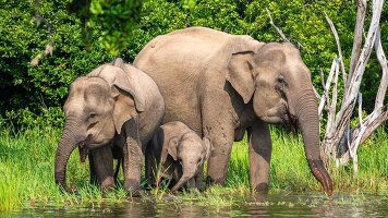 16 Day Christmas in Sri Lanka (Wendy Wu)
