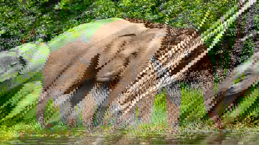 Christmas in Sri Lanka